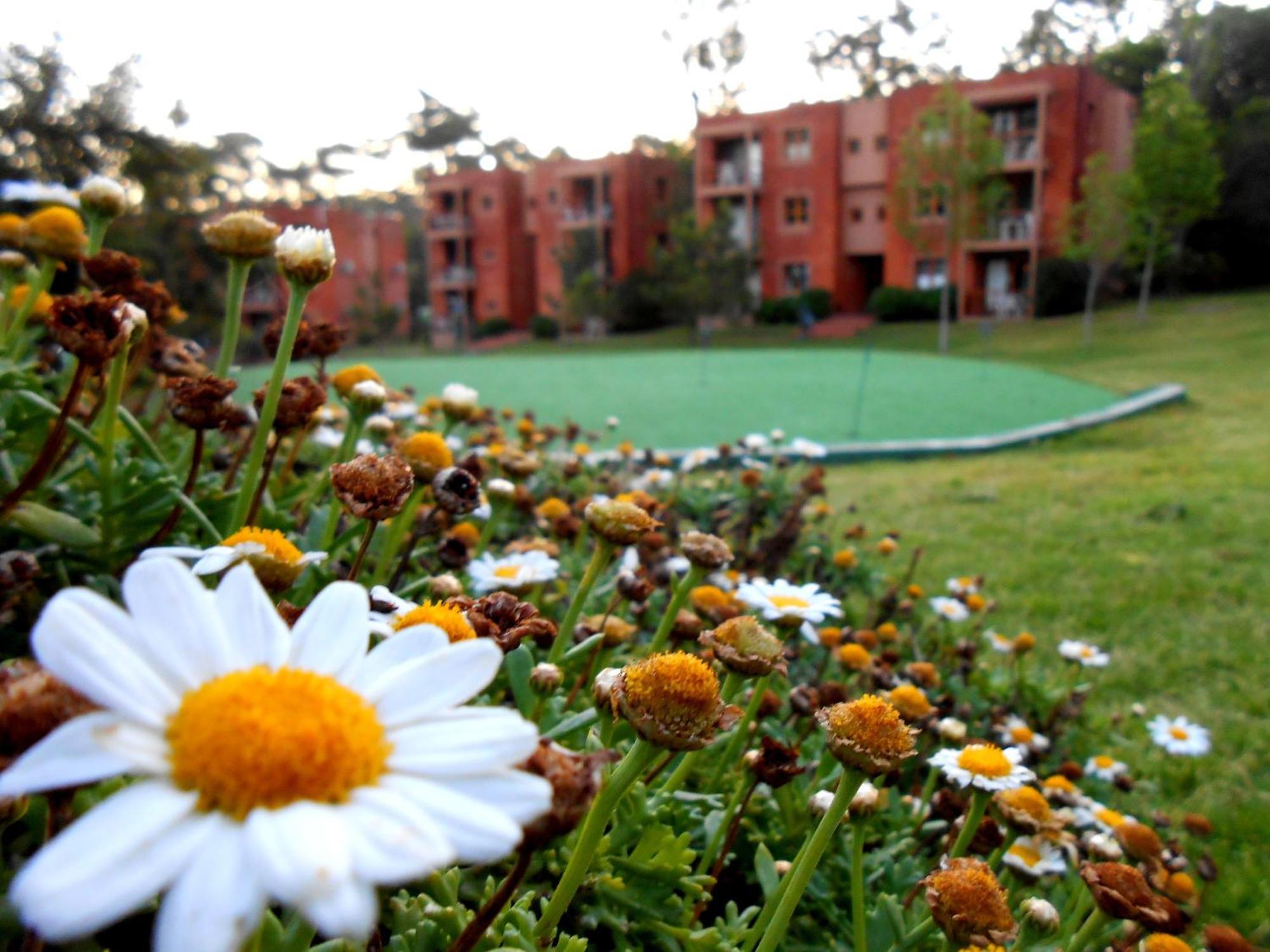 Rincon Del 4* Punta del Este